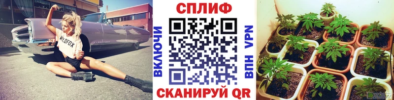 Купить наркотик аптеки Ачинск Псилоцибиновые грибы  МЕТАМФЕТАМИН  Каннабис  МЕГА маркетплейс  Кокаин  АМФЕТАМИН  Меф мяу мяу 