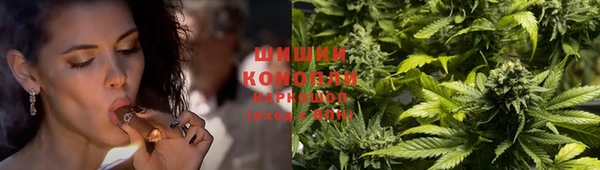 молекула духа Майский