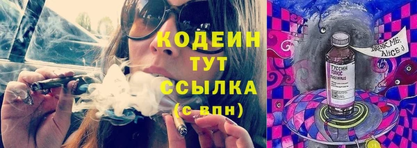 молекула духа Майский