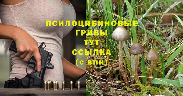 spice Магадан