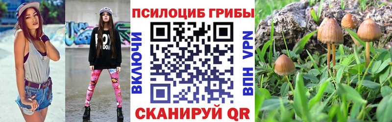 Псилоцибиновые грибы GOLDEN TEACHER  MEGA вход  Ачинск 