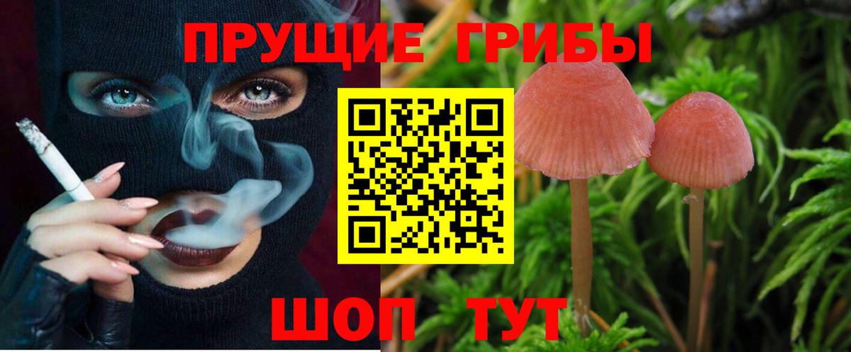 Галлюциногенные грибы мухоморы  Ачинск  Галлюциногенные грибы Psilocybe 