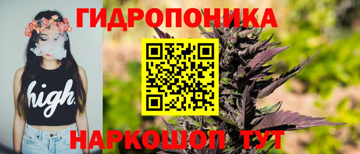 МАРИХУАНА гибрид  Ачинск  Бошки Шишки SATIVA & INDICA 